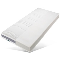 Fan ProVita First Class T 90 x 200 cm