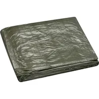 Color Expert Gewebeplane 6 x 8 m Grün