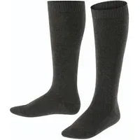 Falke Kniestrümpfe Comfort Wool 2 Paar grau 39-42