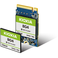 KIOXIA BG4 Client SSD 256GB, M.2 2230-S2 (KBG40ZNS256G)