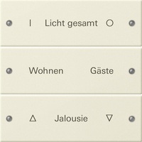 Gira Wippenset 3-fach 220301