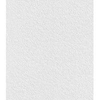 Rasch Textil Rasch Vliestapete 882100 Selection Uni Basic 10,05
