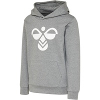 Hummel hmlCUATRO Hoodie Kinder medium melange 164