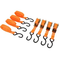LAS Spanngurt-Set mit Ratsche und Haken