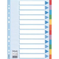 Esselte Kartonregister Standard Blanko, Karton, 12 Blatt, weiss