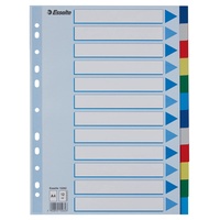 Esselte Register Blanko, A4, PP, mehrfarbig