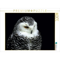 Calvendo Greifvögel - Schneeeule Puzzle