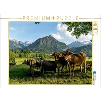 Calvendo Allgäuer Braunvieh Puzzle