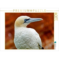 Calvendo Basstölpel Puzzle