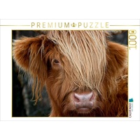 Calvendo Schottisches Hochland Rind, Highland Cattle Puzzle