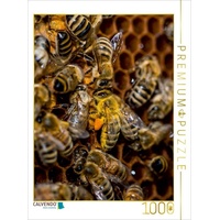 Calvendo Ein staubiger Kerl Puzzle