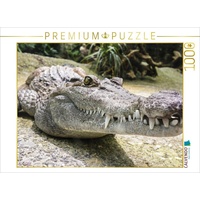 Calvendo Krokodil Puzzle