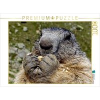 Calvendo Murmeltier..... Puzzle