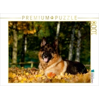 Calvendo Deutscher Schäferhund Puzzle