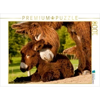 Calvendo Harmonie zwischen Esel Stute und Fohlen Puzzle