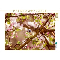Calvendo Blaumeise im Frühling Puzzle