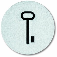 Busch-Jaeger 2144 TR Abtastbares Symbol