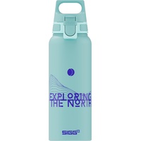 Sigg WMB Pathfinder 1l Glacier (9025.90)