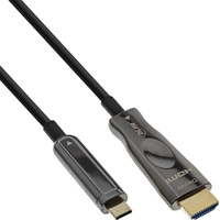 InLine USB Display AOC Kabel, USB Typ-C Stecker zu