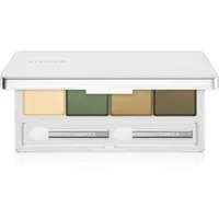 Clinique All About Shadow Quad on safari