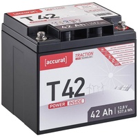 Accurat Traction T42 LFP 12V Lithium Batterie 42Ah LiFePO4
