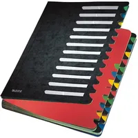 Leitz Ordnungsmappe Deskorganizer Color A4 24 Fächer Schwarz