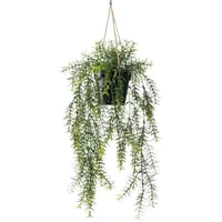 Botanic-Haus Künstliche Zimmerpflanze »Asparagus-Hängeampel« grün