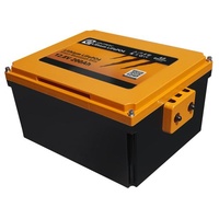 LIONTRON LXArctic Lithium Batterie 2,56 kWh