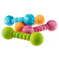 Wolters Dog Fun Gym 23cm Blau