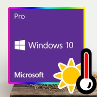 Microsoft Windows 10 Pro USB-Stick ESD ML