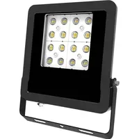 EVN Außenstrahler Aluminium 23,5 cm inkl. Bewegungsmelder schwarz