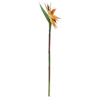 Europalms Paradiesvogel-Blume, orange, 95cm