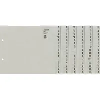 Leitz Registerserie A4 Tauenpapier A-Z grau 6 St.