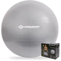 Donic Schildkröt Schildkröt Gymnastikball, silber