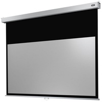 Celexon Rollo Professional Plus 240x135 16:19