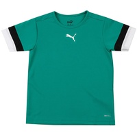 Puma teamRISE Trikot Kinder pepper green/pumablack/white 152