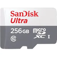 SanDisk Ultra microSDXC 256GB, UHS-I, Class 10 (SDSQUNR-256G-GN3MN)