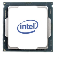 Intel Xeon E-2334 SKTLGA1200 3.40 GHz 4 -Core), Prozessor