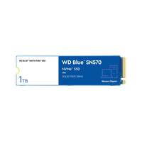 Western Digital Blue SN570 1 TB M.2 WDBB9E0010BNC-WRSN