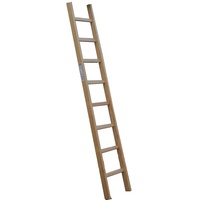 Günzburger Holz-Anlegeleiter 10 Sprossen (33110)