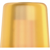 WERA 100 L Lose Köpfe aus Cellidor, für Hammer
