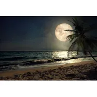 Papermoon Fototapete PAPERMOON "STRAND-NATUR PALMEN MEER DÜNEN MOND PALME