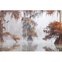 Papermoon "Photo-Art ROBERTO MARCHEGIANI, MYSTY BAYOU", bunt, B:4,5m L:2,8m,