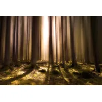 Papermoon Fototapete »Photo-Art CHRISTIAN LINDSTEN, ATEM DES LEBENS", bunt