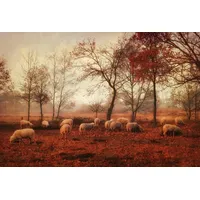Papermoon Fototapete »Photo-Art ELLEN VAN DEELEN, LETZTE TAGE DES