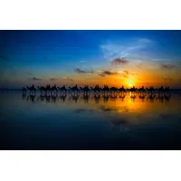 Papermoon Fototapete »Photo-Art LOUISE WOLBERS, SUNSET CAMEL Ride bunt