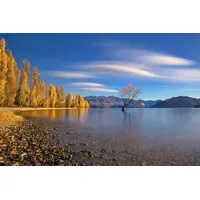Papermoon "Photo-Art HUA ZHU, HERBST IM SEE WANAKA", bunt,