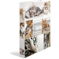 Herma Animals Katzen Ringbuch 4-Ringe Motiv