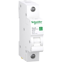 Schneider Electric Leitungsschutzschalter