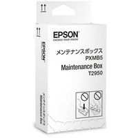 Epson T2950 C13T295000